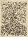 Tree. Mystic concept for Lenormand oracle tarot card