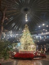 Tree of Natal merry chrismast Royalty Free Stock Photo