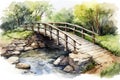 Tree nature bridge beautiful landscape water park summer travel river forest green Royalty Free Stock Photo