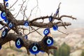 Tree with nazars in Uchisar. Nevsehir province. Cappadocia. Turkey