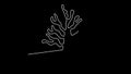 The Tree of Nazca Lines Animation