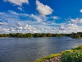 Tree near river, scenic nature landscape. Royalty Free Stock Photo