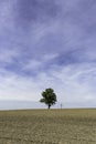 tree next to cross below huge blue sky Royalty Free Stock Photo