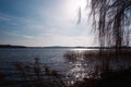 Tree next to the lake. Background day panorama on the lake. Calm lake with tree Royalty Free Stock Photo
