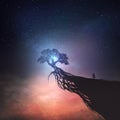 Tree and night sky