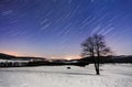 Tree at night - winter with stars Royalty Free Stock Photo