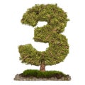 Tree Number 3. Tree in shaped of number 3, 3D rendering Royalty Free Stock Photo