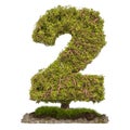 Tree Number 2. Tree in shaped of number 2, 3D rendering Royalty Free Stock Photo