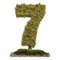 Tree Number 7. Tree in shaped of number 7, 3D rendering Royalty Free Stock Photo