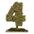 Tree Number 4. Tree in shaped of number 4, 3D rendering Royalty Free Stock Photo