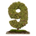 Tree Number 9. Tree in shaped of number 9, 3D rendering Royalty Free Stock Photo