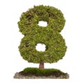 Tree Number 8. Tree in shaped of number 8, 3D rendering Royalty Free Stock Photo