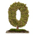 Tree Number 0. Tree in shaped of number 0, 3D rendering Royalty Free Stock Photo