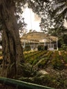 Tree, nursery, plants nursery house, greenery