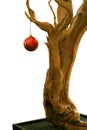 Tree old bark wood christmas planter red