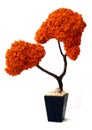 Tree old bark wood leaf leaves planter orange