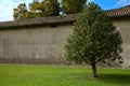 A tree in an opem space with a grey wall as background on a clear day in autumn Royalty Free Stock Photo