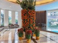 Tree of Oranges and mandarins resemble gold and sounds like the word success in Mandarin or luck in Cantonese, making them an