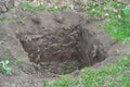 Tree organic fertilization with compost in digging hole for fruit tree planting.