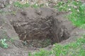 Tree organic fertilization with compost in digging hole for fruit tree planting. Royalty Free Stock Photo