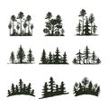 Tree outdoor travel black silhouette coniferous natural badge, tops pine spruce branch cedar and plant leaf abstract Royalty Free Stock Photo