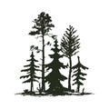 Tree outdoor travel black silhouette coniferous natural badge, tops pine spruce branch cedar and plant leaf abstract Royalty Free Stock Photo