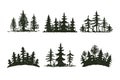 Tree outdoor travel black silhouette coniferous natural badge, tops pine spruce branch cedar and plant leaf abstract Royalty Free Stock Photo