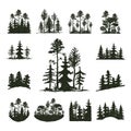 Tree outdoor travel black silhouette coniferous natural badge, tops pine spruce branch cedar and plant leaf abstract