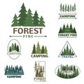 Tree outdoor travel green silhouette forest badge coniferous natural logo badge tops pine spruce vector. Royalty Free Stock Photo