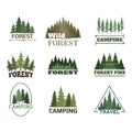 Tree outdoor travel green silhouette forest badge coniferous natural logo badge tops pine spruce vector. Royalty Free Stock Photo