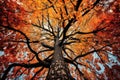 a tree outline filled with bright fall leaves