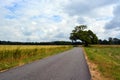 Tree over the road Royalty Free Stock Photo