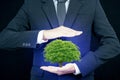 Tree in palms businessman,nature protection concept Royalty Free Stock Photo