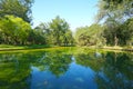 Tree in park and shadow in water