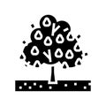 tree pear glyph icon vector illustration