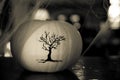 Concept halloween white squash decoration close up