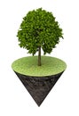 Tree on piece cone of land Royalty Free Stock Photo