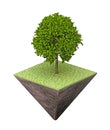 Tree on piece pyramid-shaped of land Royalty Free Stock Photo