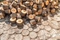 Tree pieces on garden road paved with wooden step stones Royalty Free Stock Photo