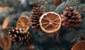 A tree with pine cones and oranges hanging from it Royalty Free Stock Photo