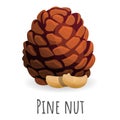 Tree pine nut icon, cartoon style Royalty Free Stock Photo