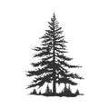 tree pine silhouette tattoo, logo cypress tree evergreen, cedar forest wood vector illustration. conifer tree