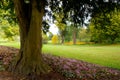 Tree and pink flowers Forde Abbey Dorset England Royalty Free Stock Photo