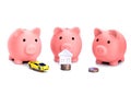 Tree piggy banks dreaming about something with coins / money, car and house in front of them isolated on white background