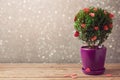 Tree plant with hearts on wooden table over bokeh background. Valentine's day concept
