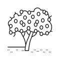 tree plant lemon line icon vector illustration
