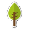Tree plant pine isolated icon Royalty Free Stock Photo