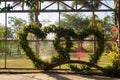 Tree planted heart shape in pots,Thailand. Royalty Free Stock Photo