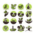 Tree planting and green gardening horticulture vector icons set Royalty Free Stock Photo