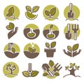 Tree planting and growing process infographic vector icons Royalty Free Stock Photo